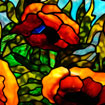Orange Poppy with Sky Detail